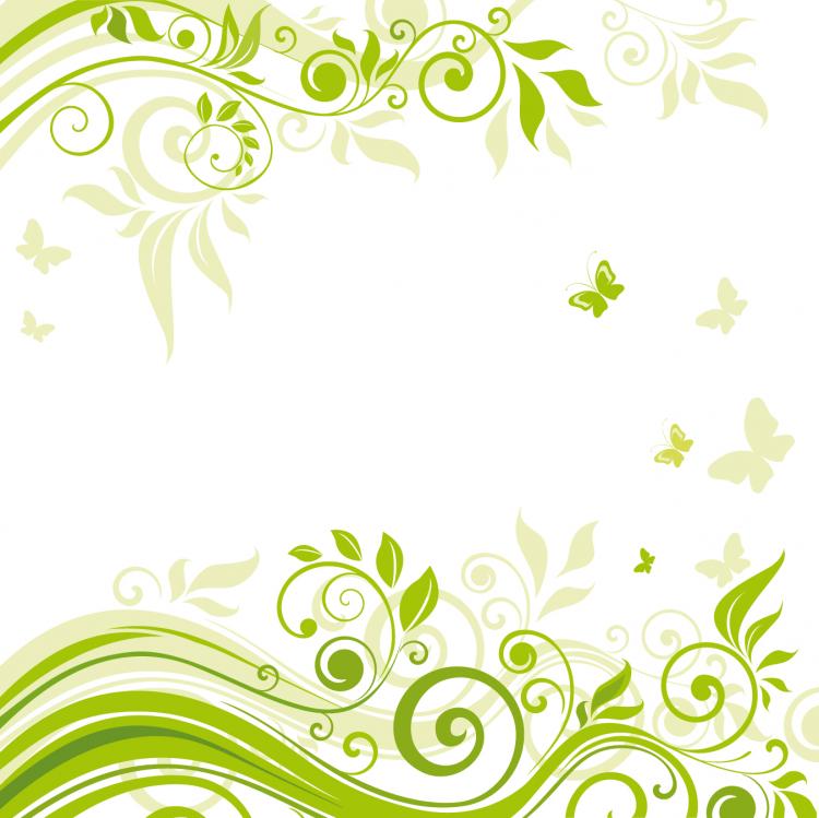 free vector Beautiful flowers illustration background 02 vector